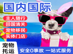 张孝机场快运国际宠物托运 【国